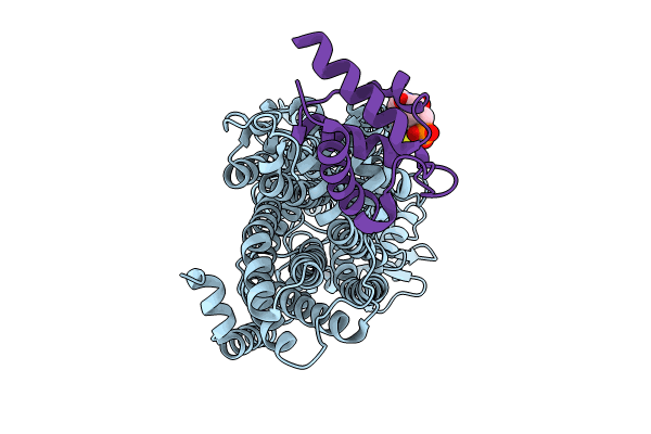 9DP6 image