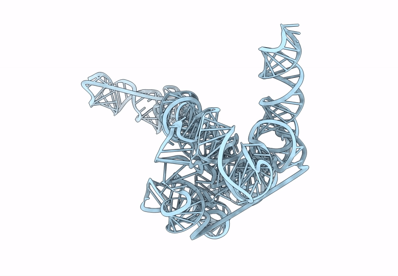 9DP9 image