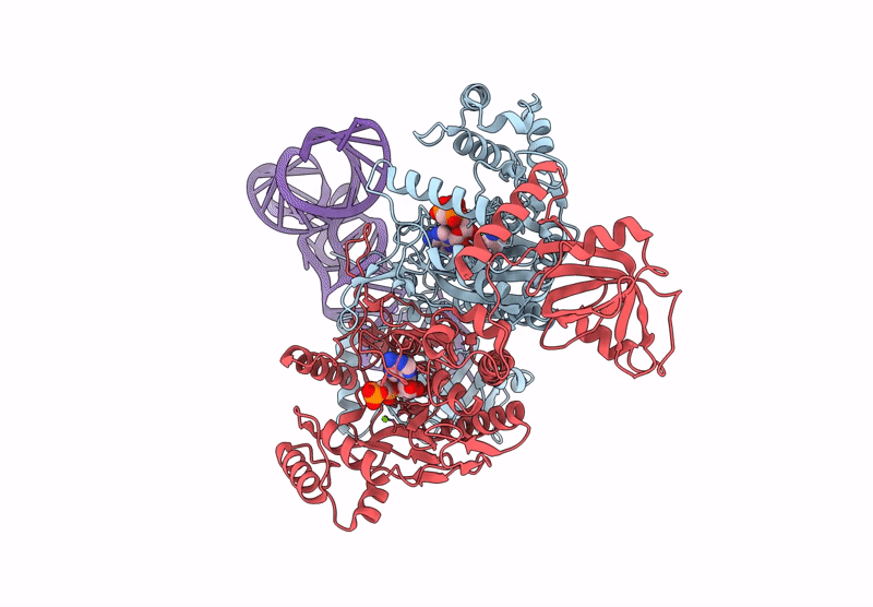 9DPB image