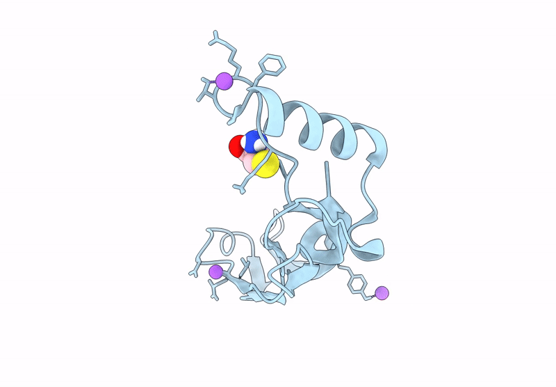 9DPM image