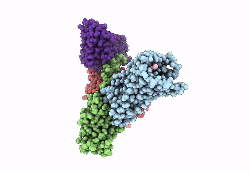 9DQH image
