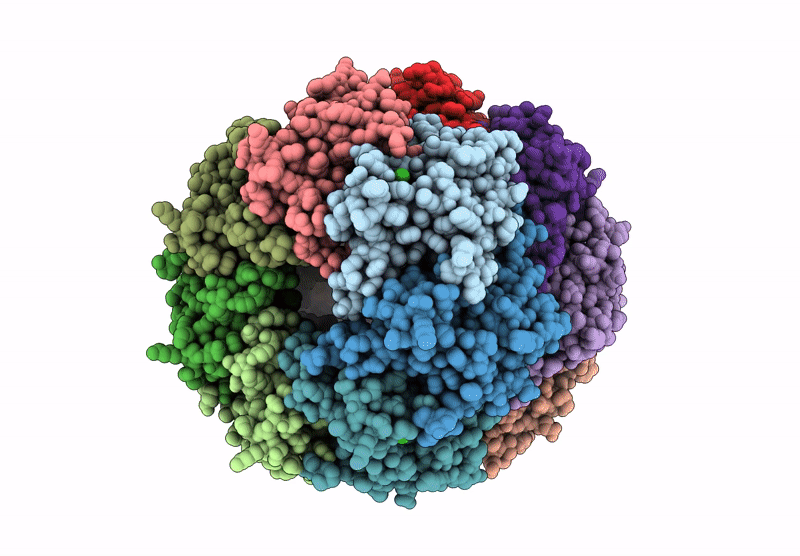 9DQL image