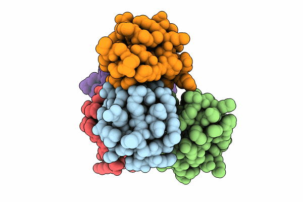 9DQS image
