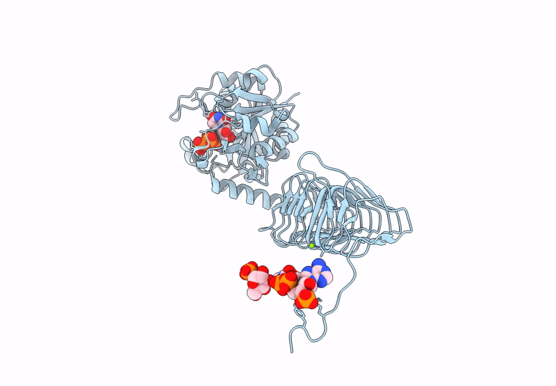 9DR4 image