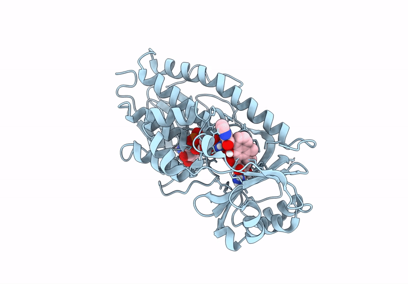 9DRH image