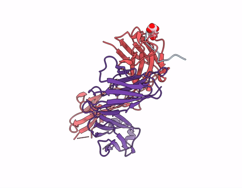 9DST image