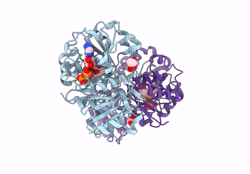 9DSV image
