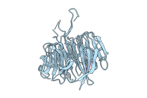9DTB image