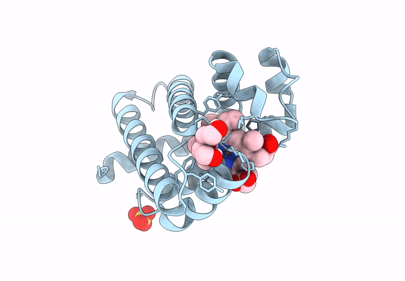 9DTI image