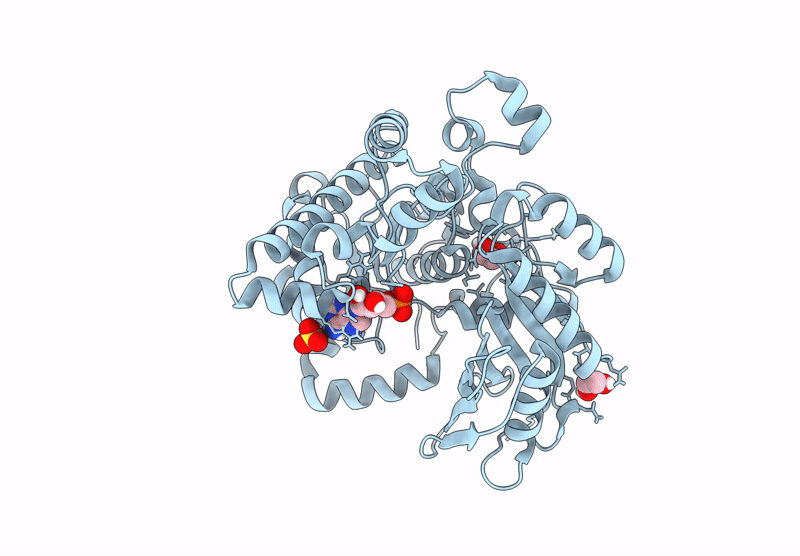 9DV9 image