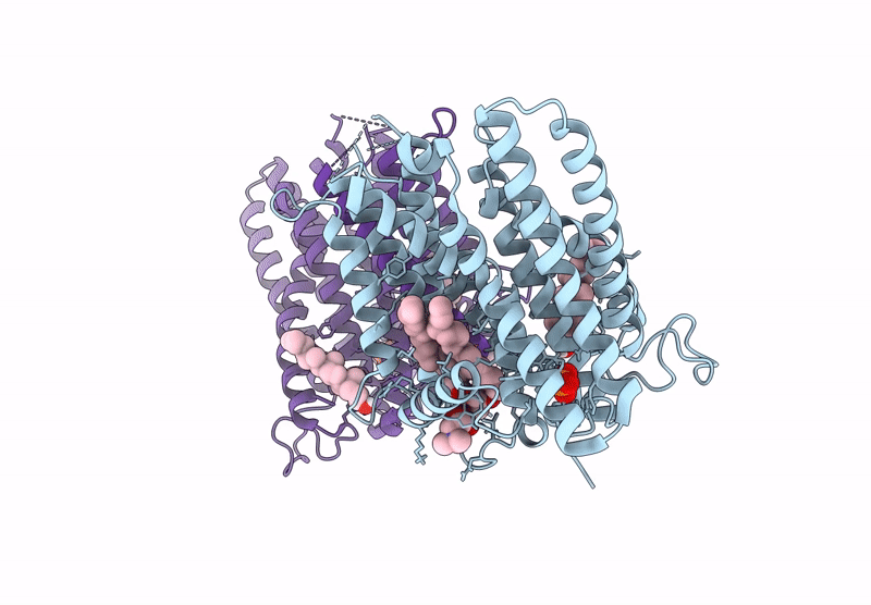 9DVJ image