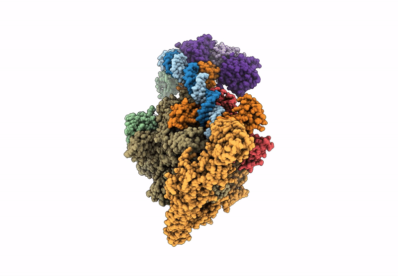 9DVU image