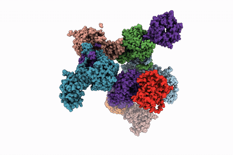 9DX2 image