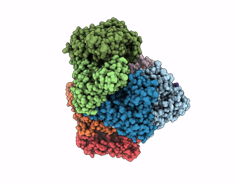 9DX3 image