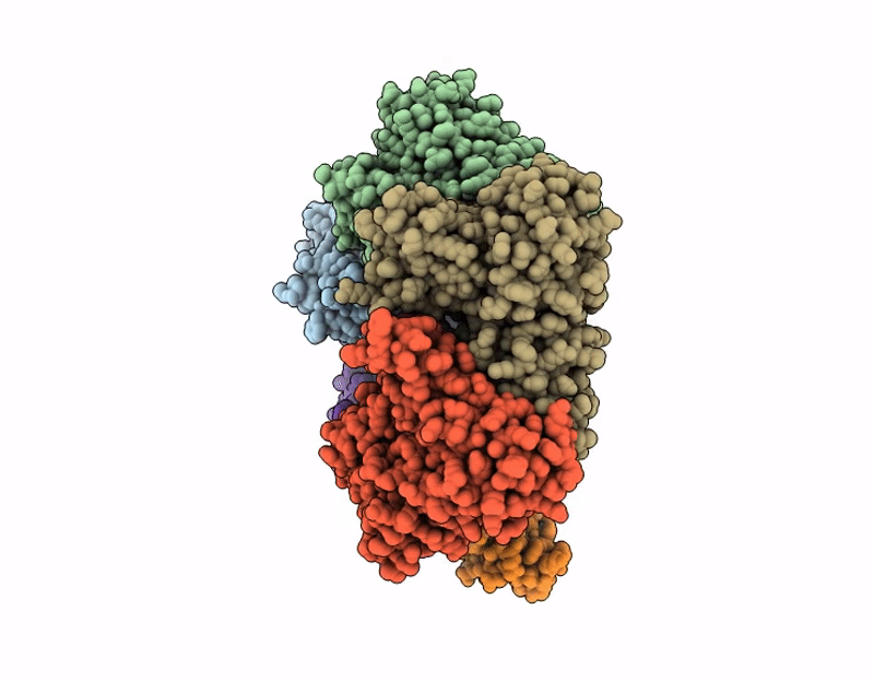 9DX5 image