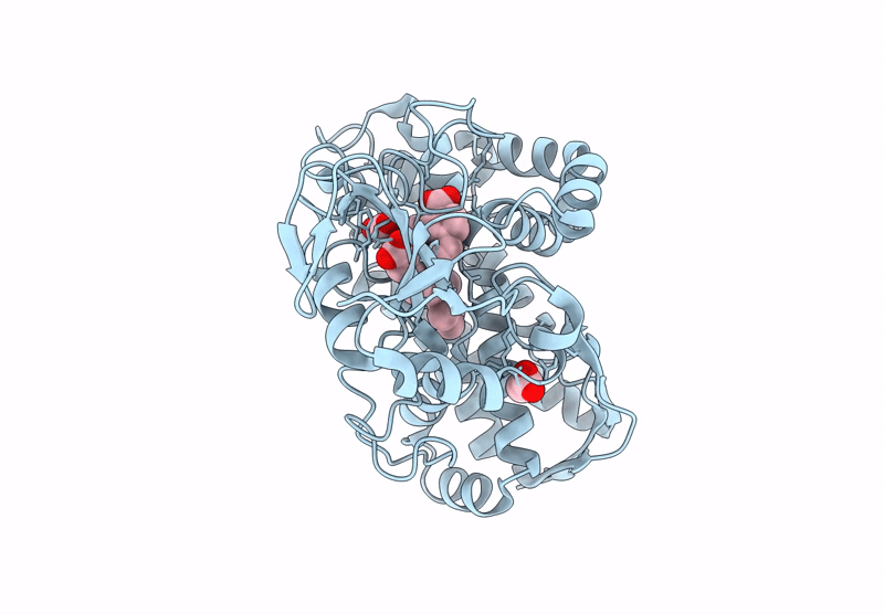 9DX8 image