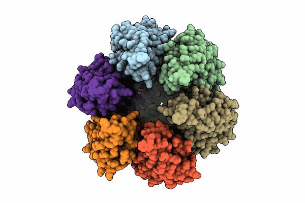 9DXA image