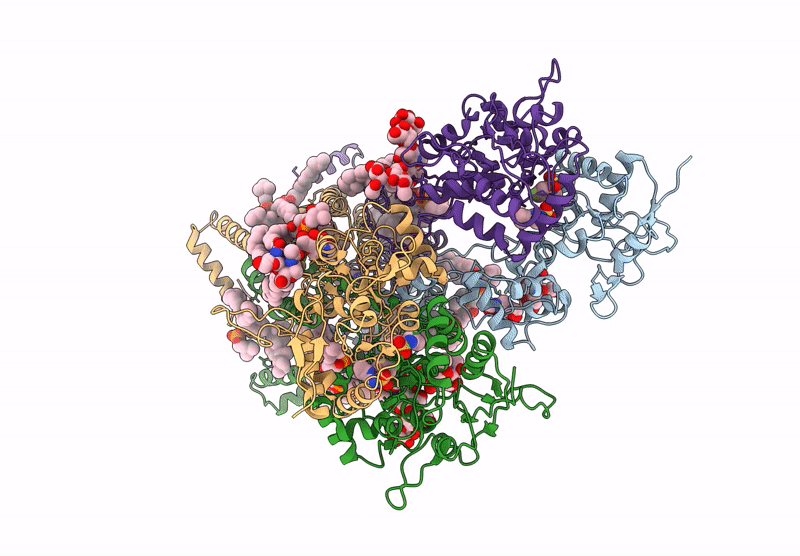 9DXS image