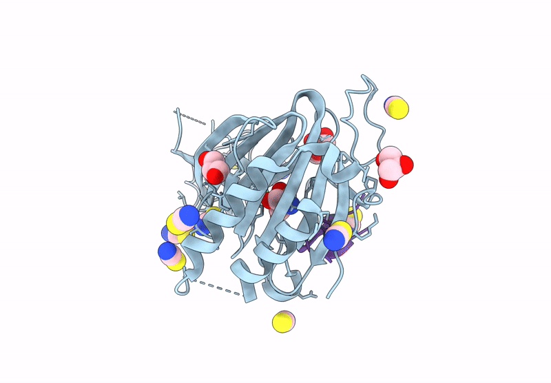 9DXU image