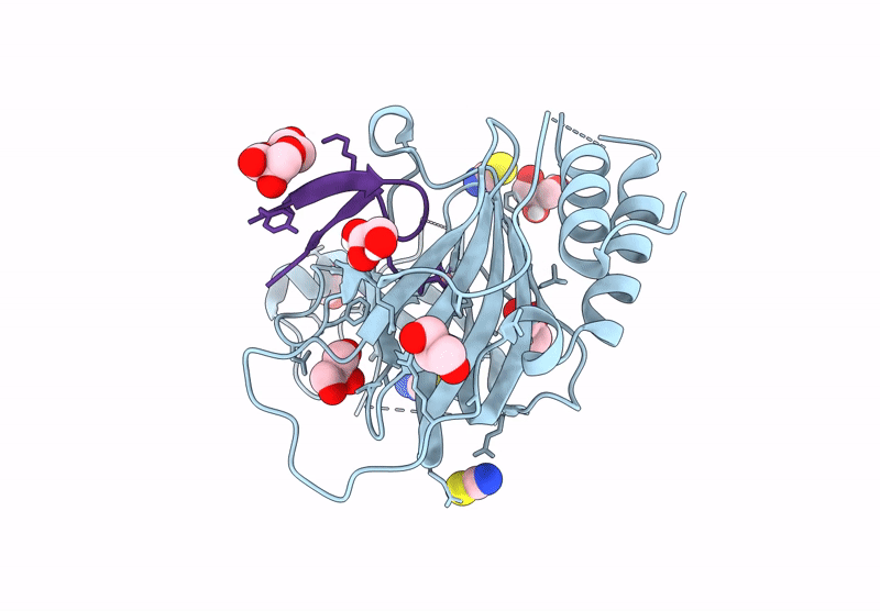 9DXV image