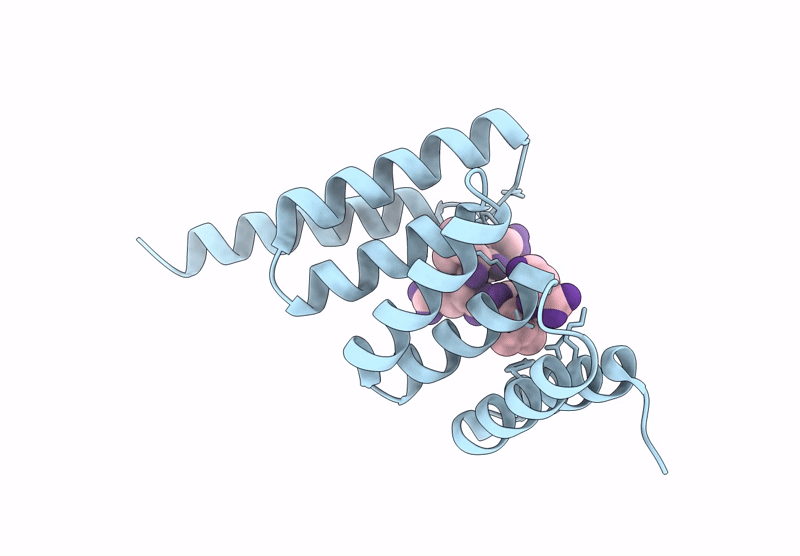 9DYB image