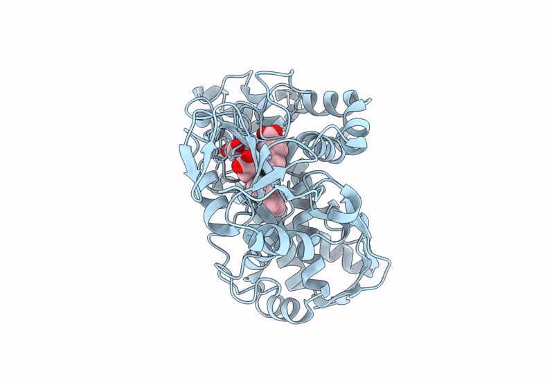 9DYC image