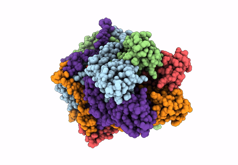 9DYI image
