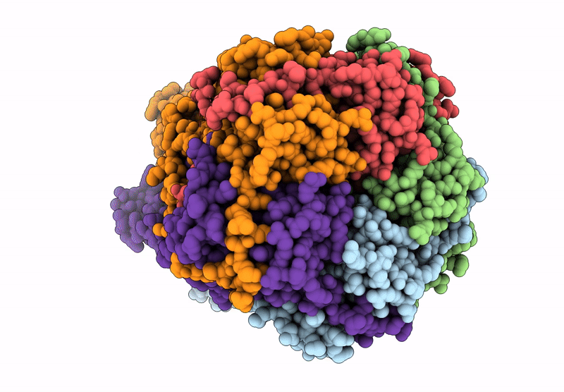 9DYN image