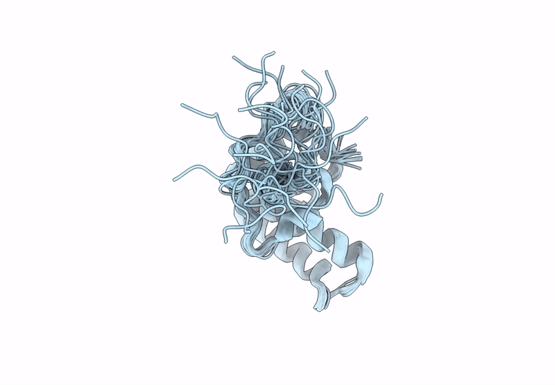 9DYV image