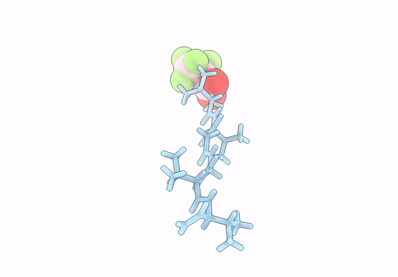 9DYX image