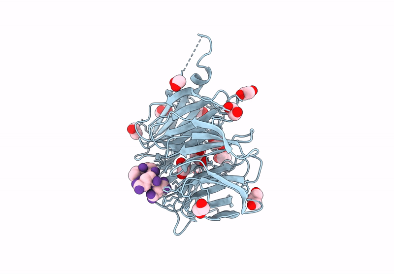 9DZX image