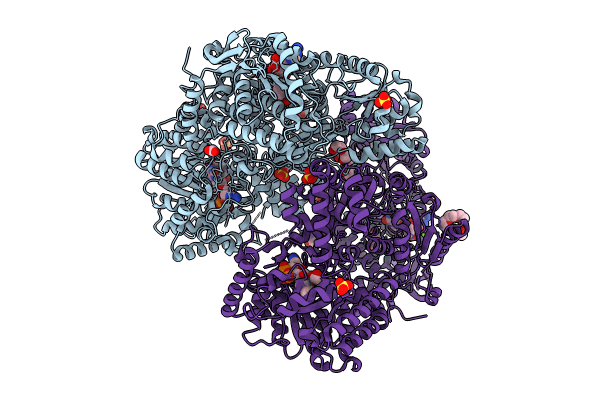 9E0C image