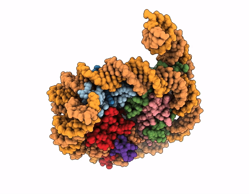 9E0R image