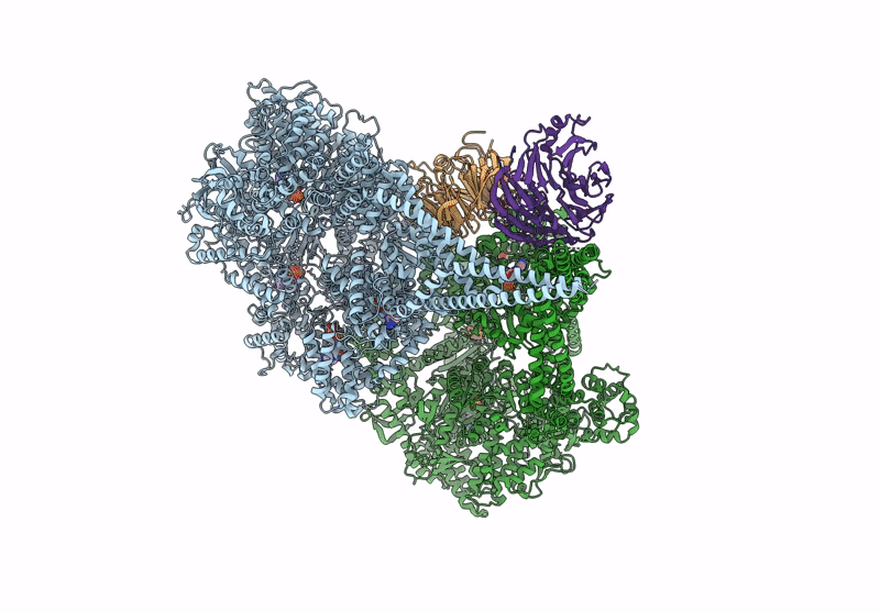 9E0Z image