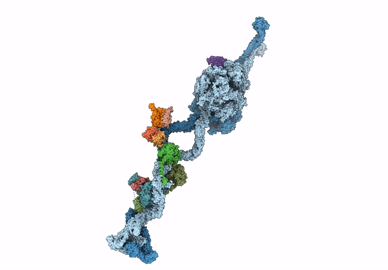 9E13 image