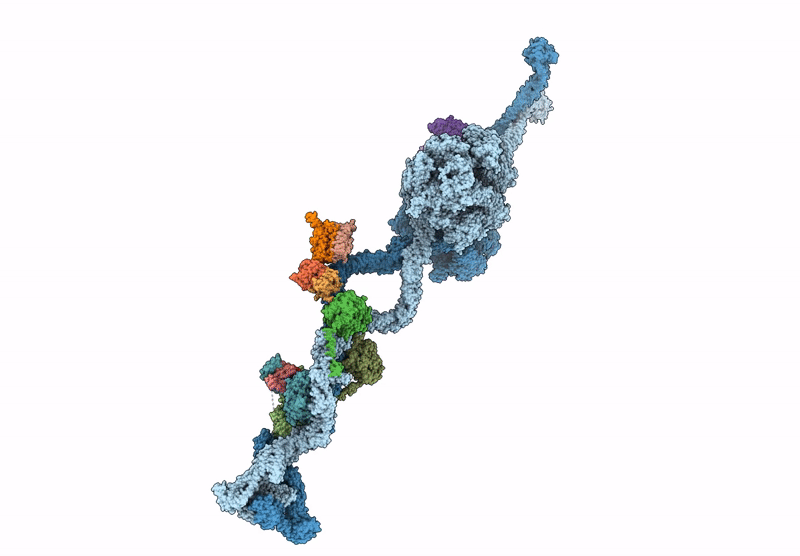 9E14 image
