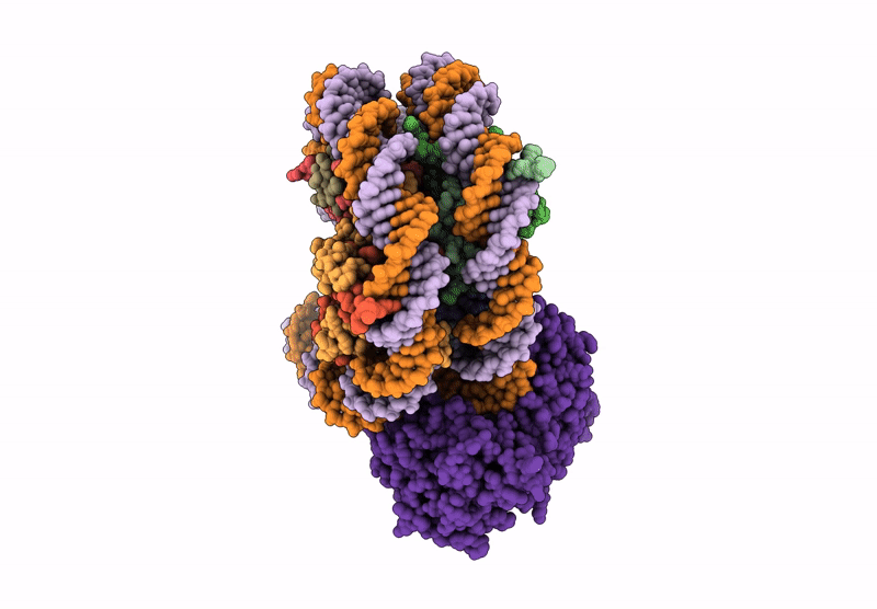9E1V image