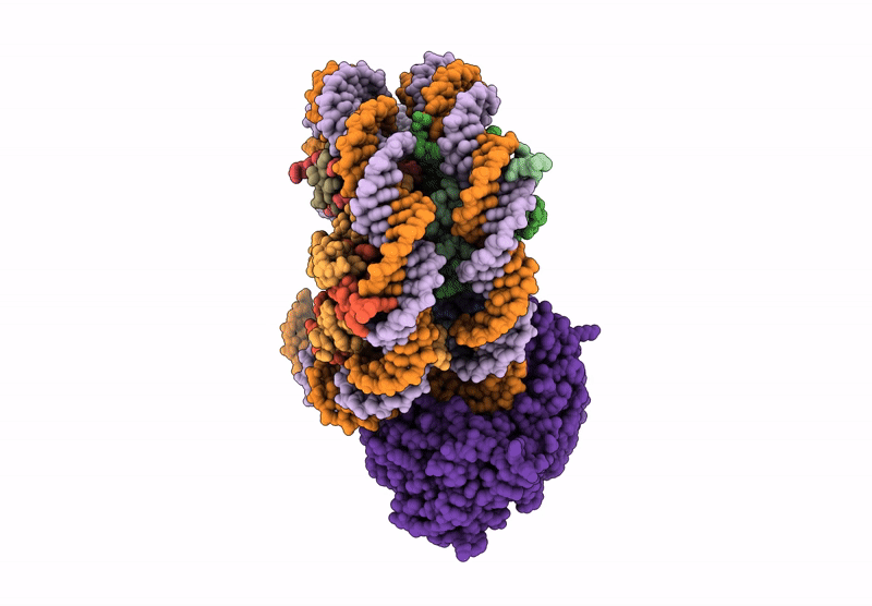 9E1X image