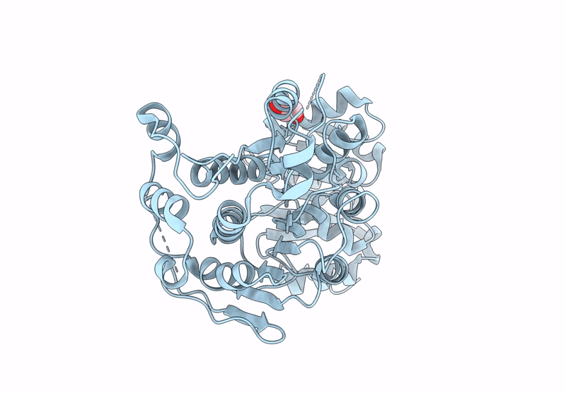 9E2C image