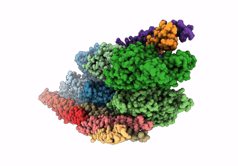 9E2E image