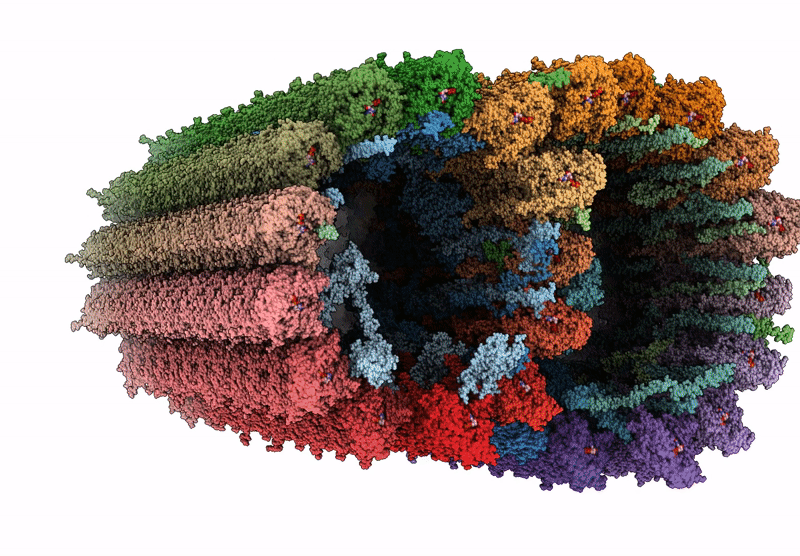 9E2G image