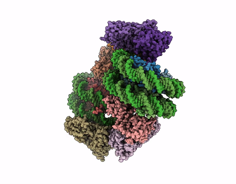 9E2Q image