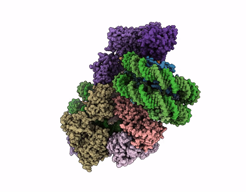 9E2R image