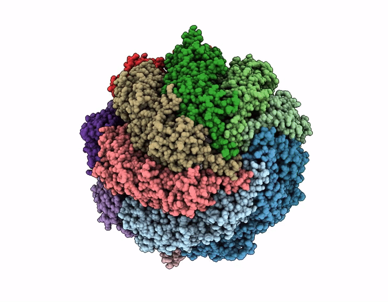 9E2S image