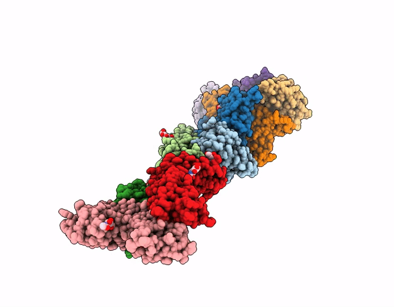 9E2T image