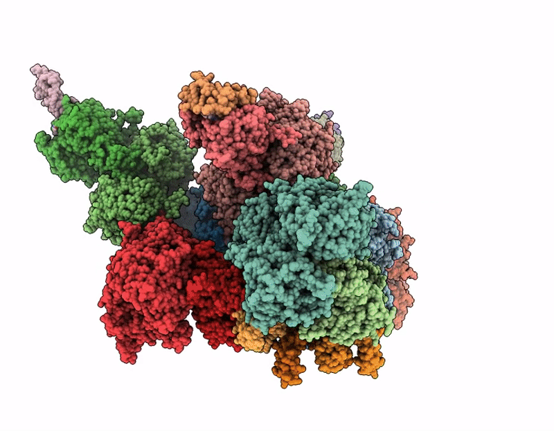 9E2U image