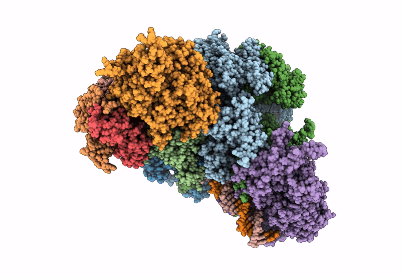 9E2X image