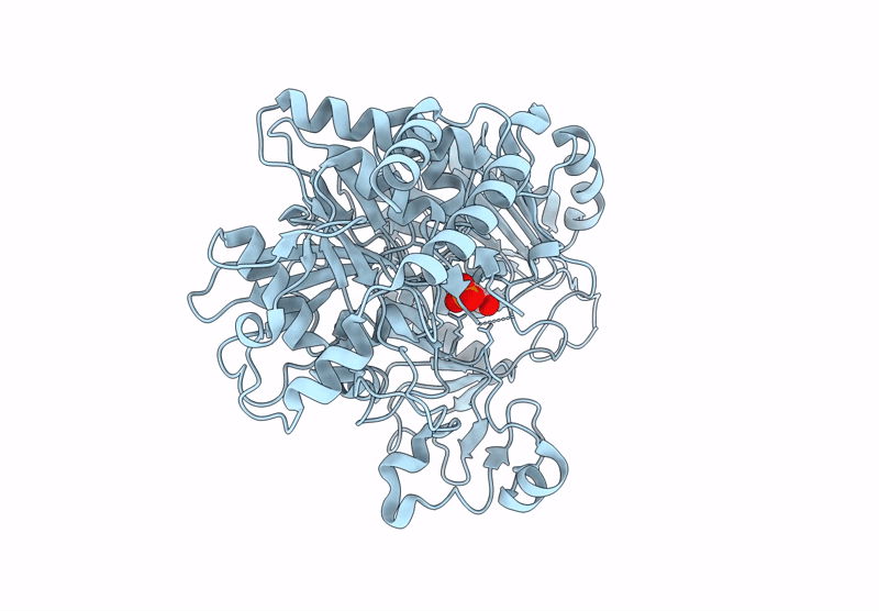9E33 image