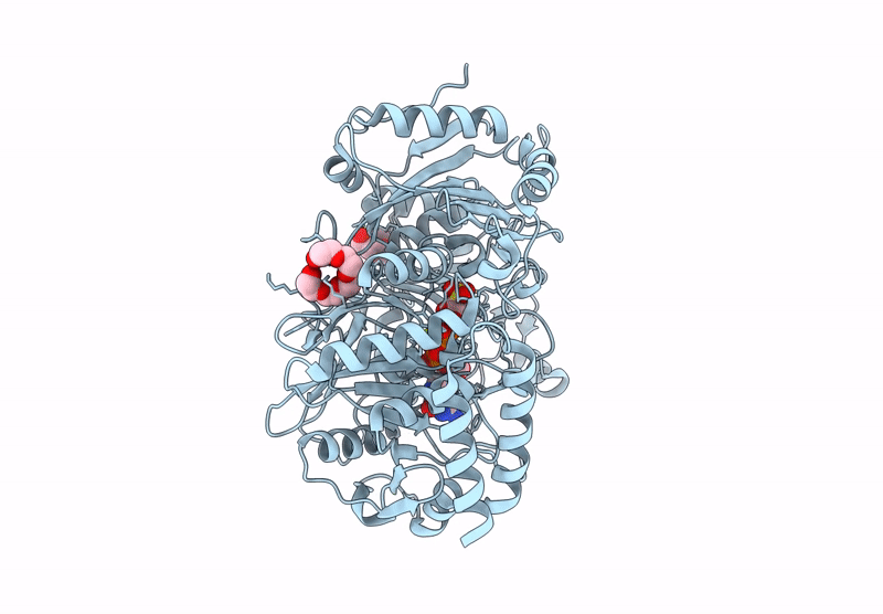 9E36 image