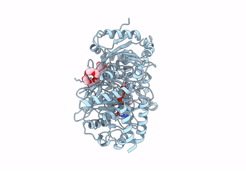 9E37 image